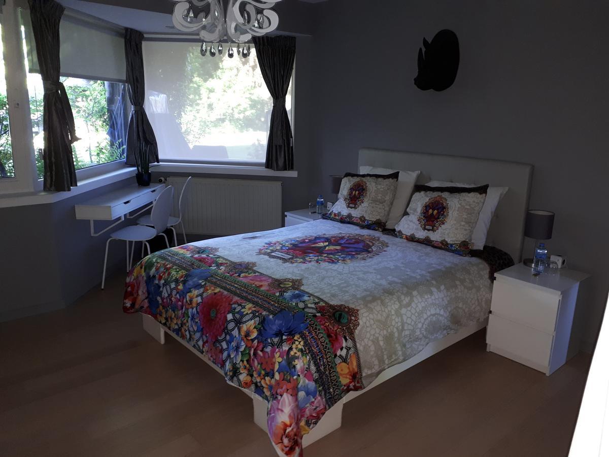 Double Room,645775902:JPEG