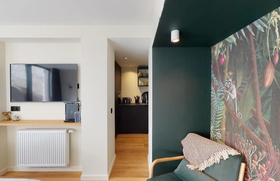 Suite Lumineuse A Saint-Gilles-1
