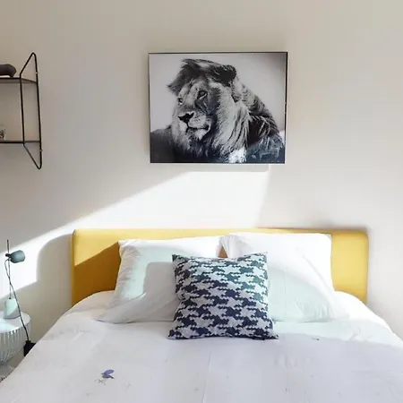Suite Lumineuse A Saint-Gilles-2